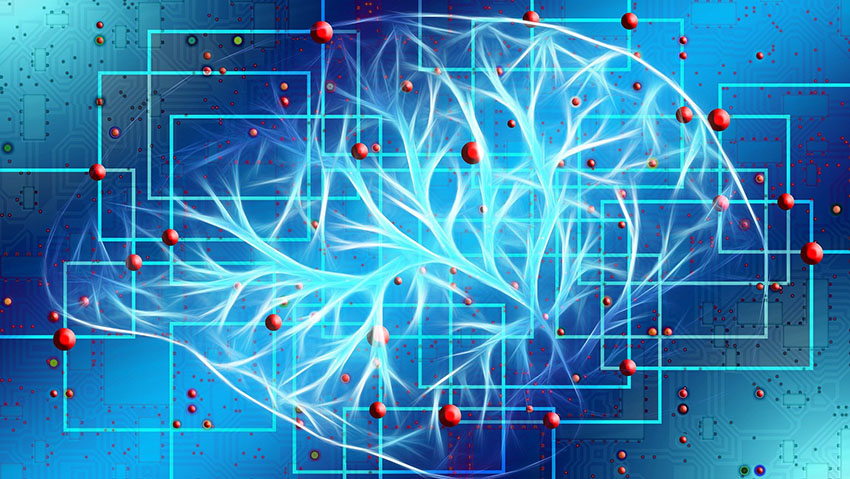 Notre cerveau fonctionne à 90% de manière autonome, sans que notre conscience ou notre volonté ne soit sollicité