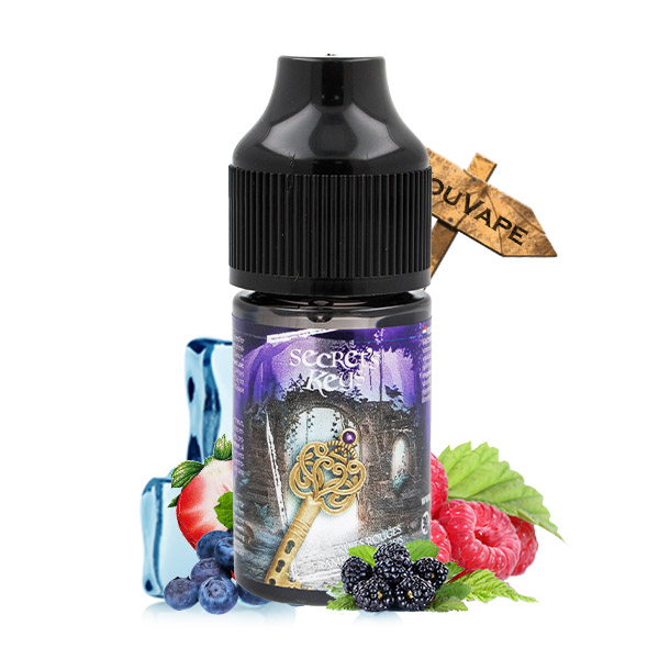 Concentré Purple Key 30ml par Secret Key