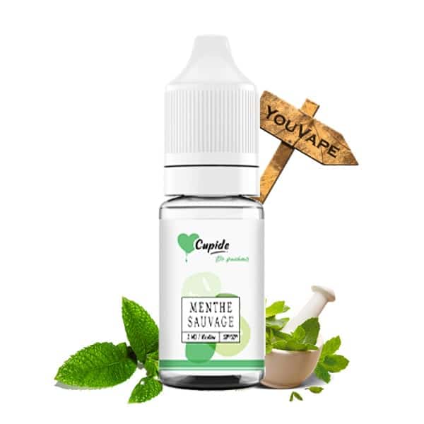 Le e liquide Menthe Sauvage de Cupide est une saveur à la fois fraîche et douce de feuilles de menthe cueillies à la rosée du matin.