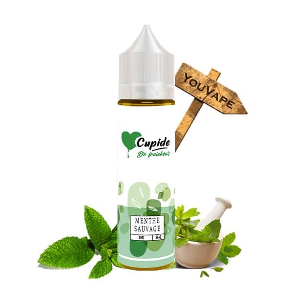 Le e liquide Menthe Sauvage de Cupide est une saveur à la fois fraîche et douce de feuilles de menthe cueillies à la rosée du matin.