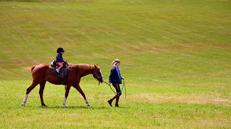 Un petit enfant est sur un beau cheval marron qui est tiré par une dame dans une prairie