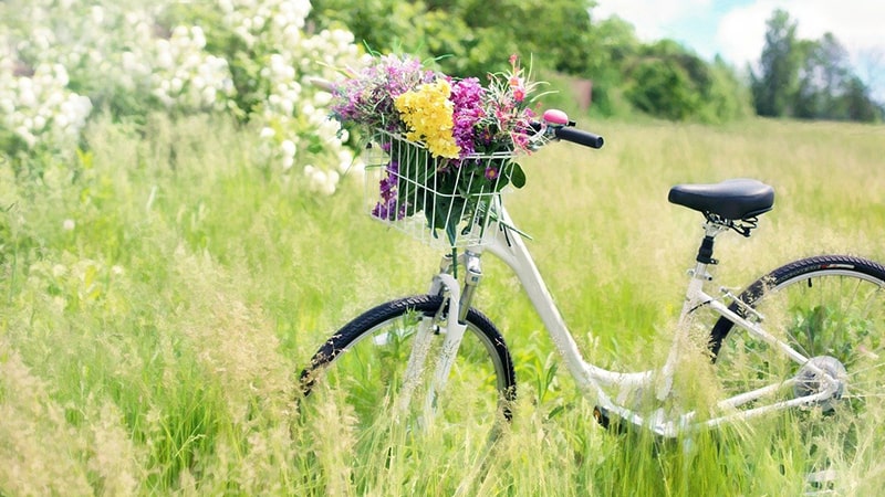 un vélo blanc portant des fleurs de plusieurs couleurs dans une belle prairie