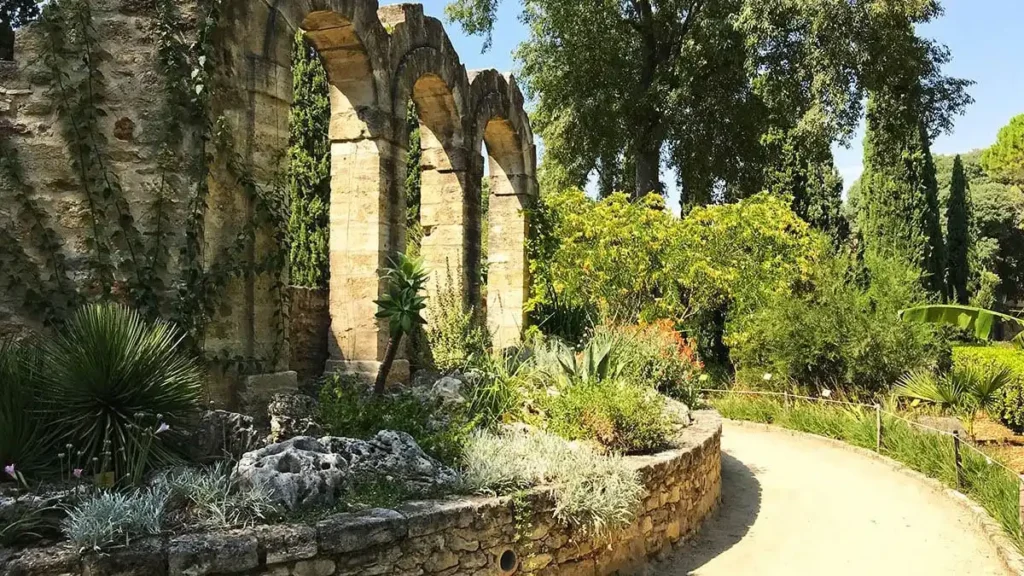 Jardin des plantes à Montpellier