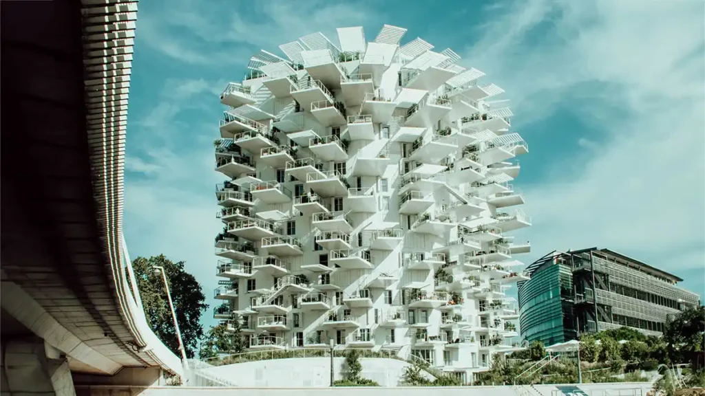 Arbre blanc à Montpellier