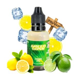Le concentré Green Lush de Chefs Flavours est une recette de limonade mixant le citron jaune et le citron vert avec une belle fraîcheur.
