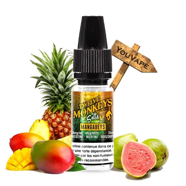 Le e liquide Mangabeys Salts de Twelve Monkeys vous emmène sous les tropiques pour déguster ce trio de fruits composés de mangues, d'ananas et de goyave.