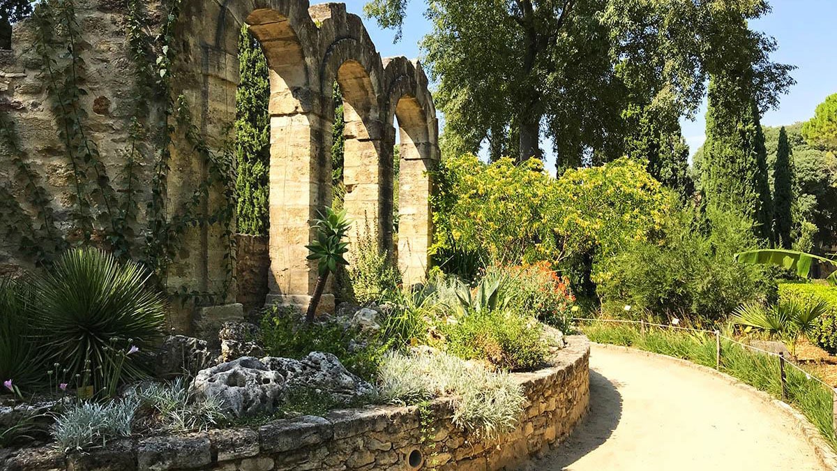 Vapotez au jardin des plantes de montpellier