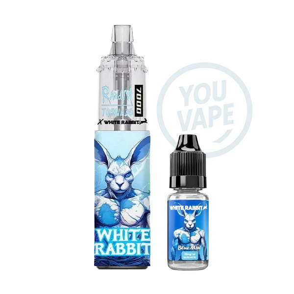 La Puff Tornado 7K Blue Mint est une puff rechargeable à la saveur ultra-fraîche de menthe bleue.