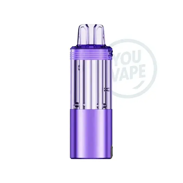 Cartouche puff JNR Meteorite Purple