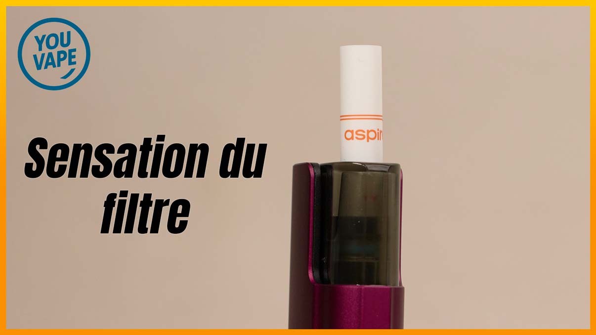 L'embout filtre du Pod Vilter Max
