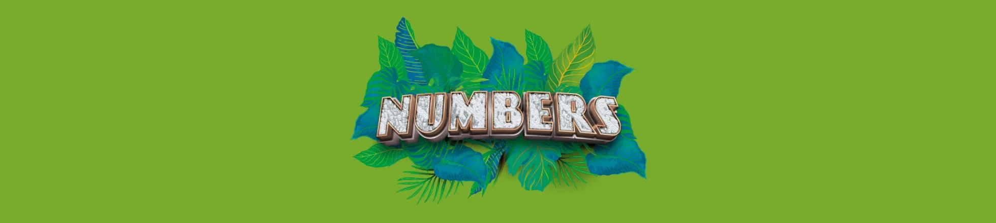 Numbers YouVape