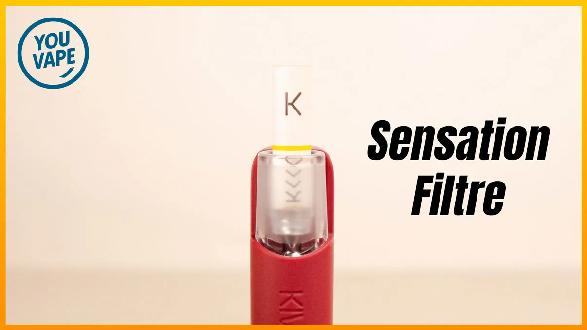 Le filtre du pod Kiwi Spark 2 Pro