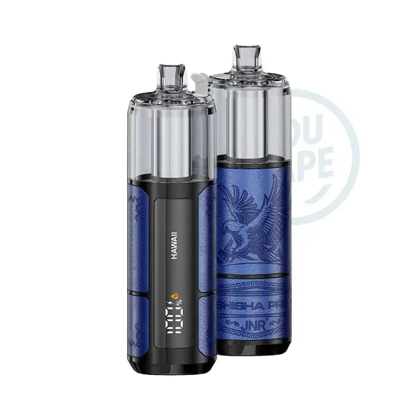 Puff JNR Shisha Pro 39k Hawai
