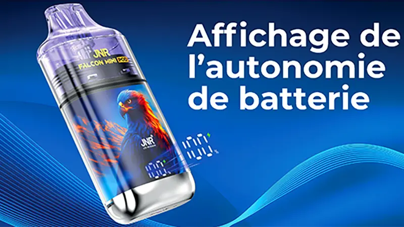 L'écran de la Puff Falcon Mini