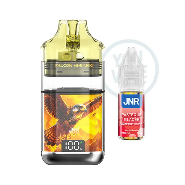 Puff Falcon Mini saveur Watermelon Ice