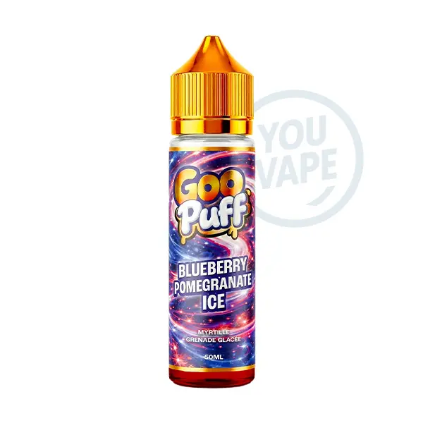 Le e-liquide Blueberry Sour Raspberry 50ml de la marque Goo Puff vous propose un goût fruité et glacé de myrtille et de grenade.